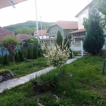 Apartmani Lina Ribarska Banja Exteriér fotografie